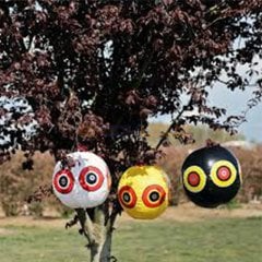 Bird-X Scare Eyes Kuş Kovucu Balon 3'lü Set