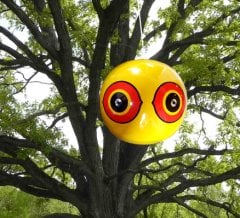 Bird-X Scare Eyes Kuş Kovucu Balon 3'lü Set