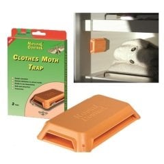 Güve Yok Edici Güve  Kapan