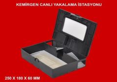 Kemirgen Canlı Yakalama