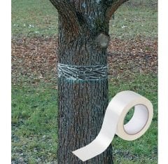 Ağaçları Karınca ve Böceklerden Koruma Bandı