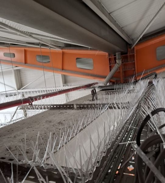 Polikarbon Kuş kondurmaz tel 4 metre