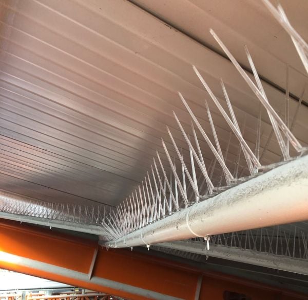 Plastik (Polikarbon) Kuş Kondurmaz Tel (3 Metre)