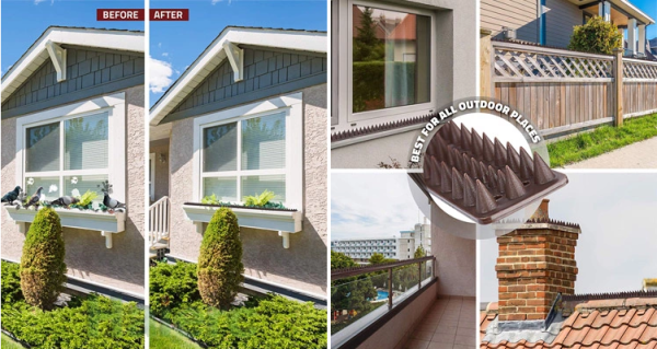 Balkon ve Bahçelerde Kuş Sorununa Çözüm Plastik Diken